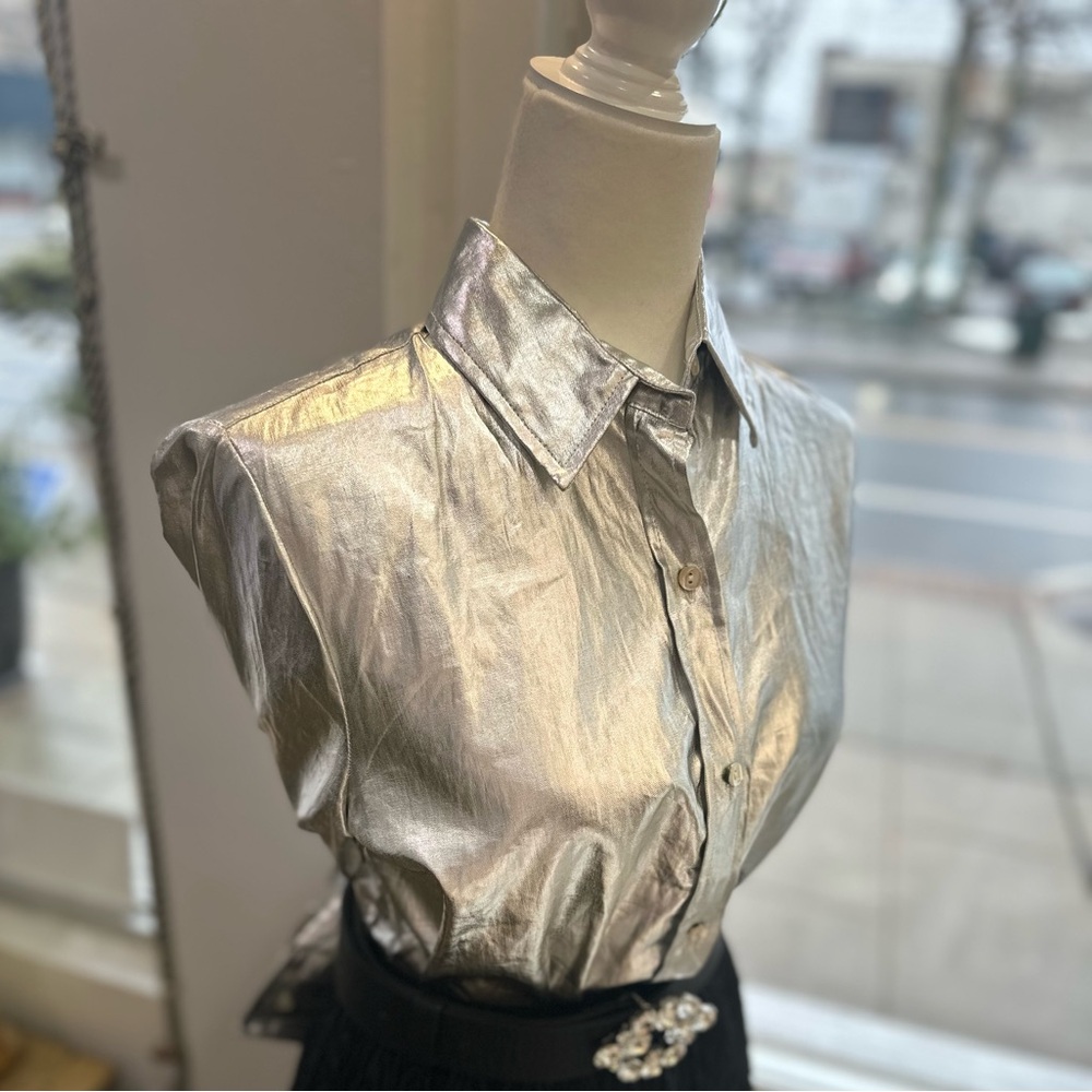 Lanhtropy San Marino Silver Blouse - Picture 5 of 5